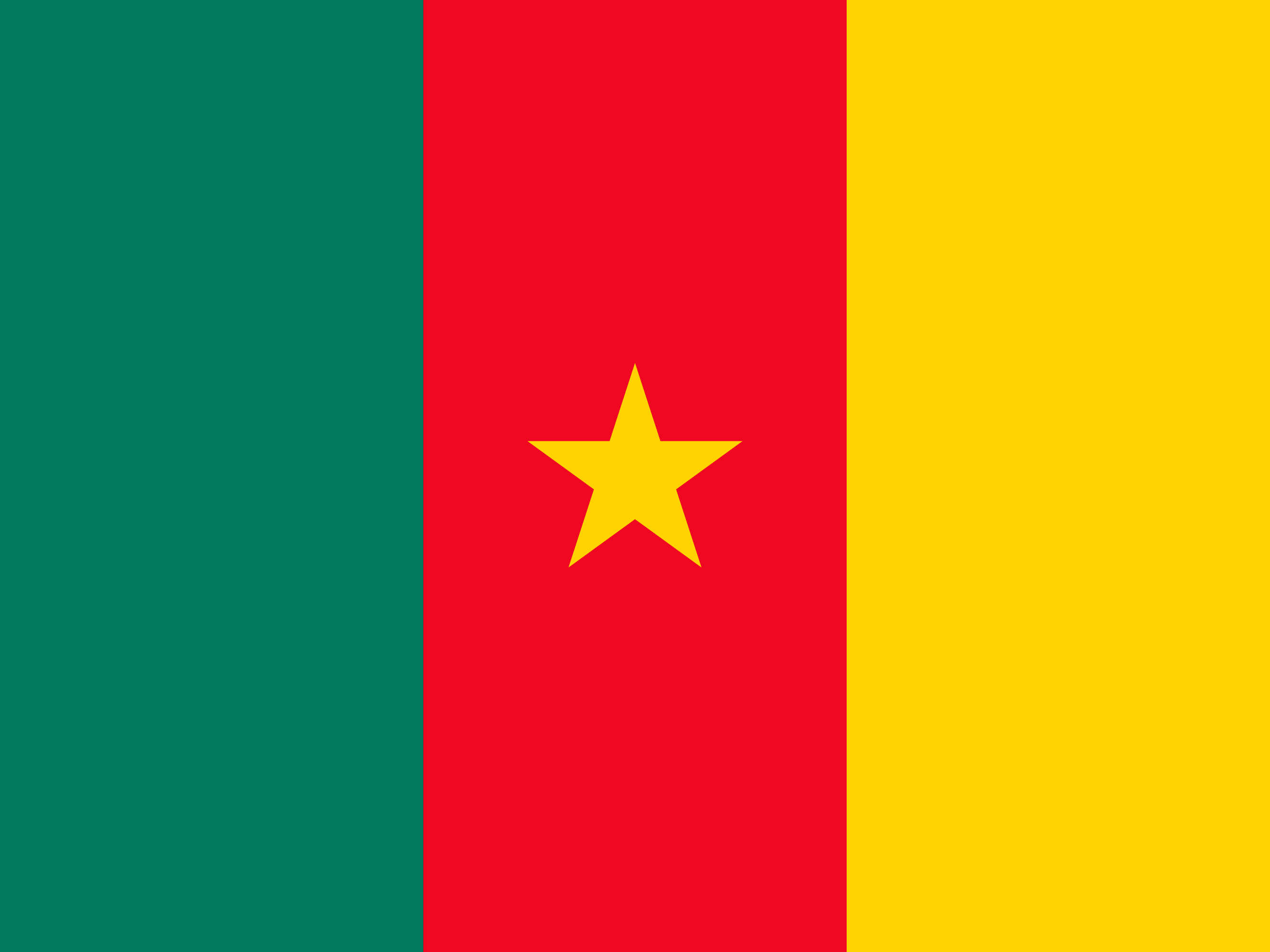 bendera Kamerun