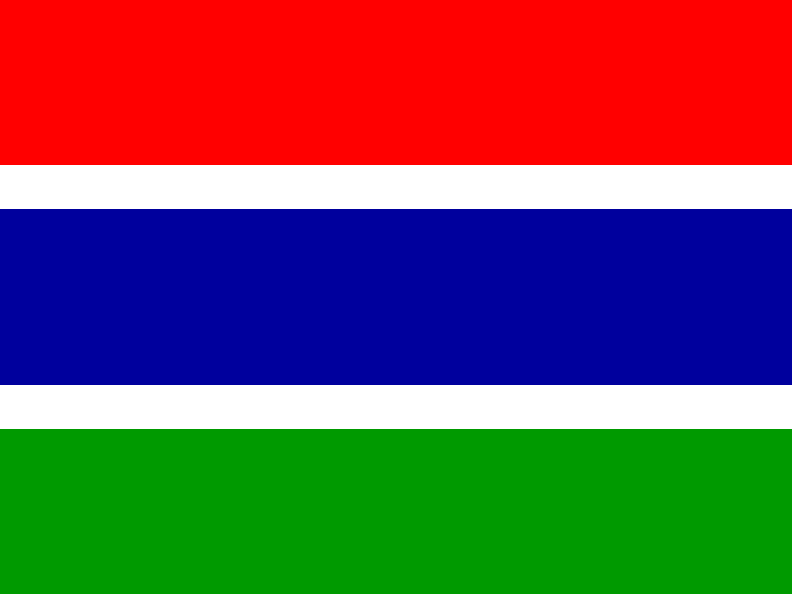 bendera Gambia