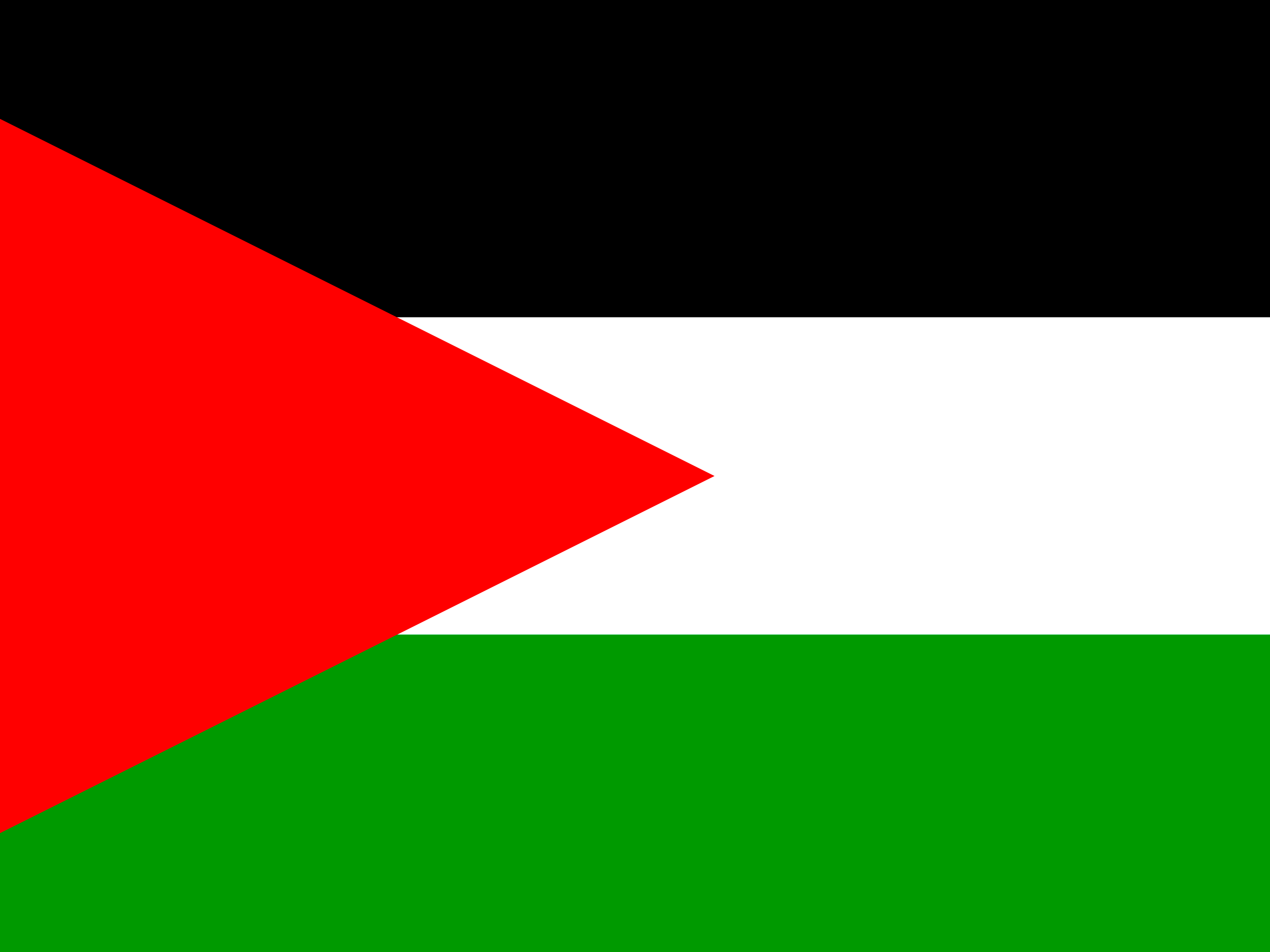 bendera Palestina