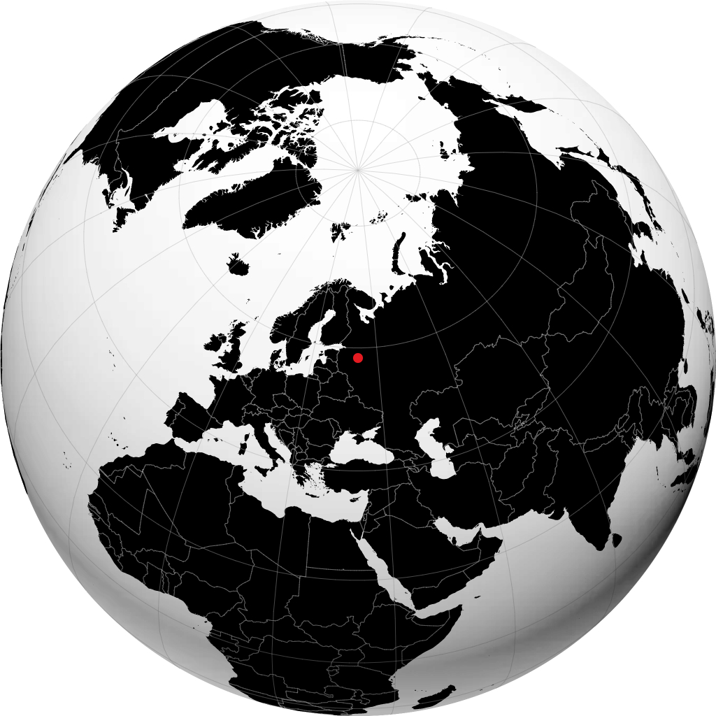 Borovichi di globe